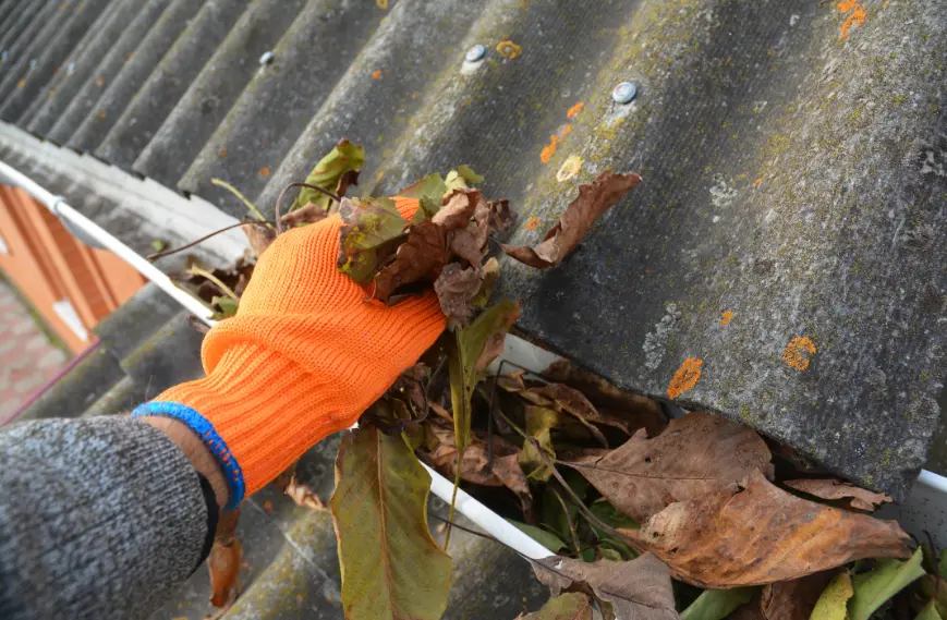 Gutter Cleaning in Santa Rosa, CA